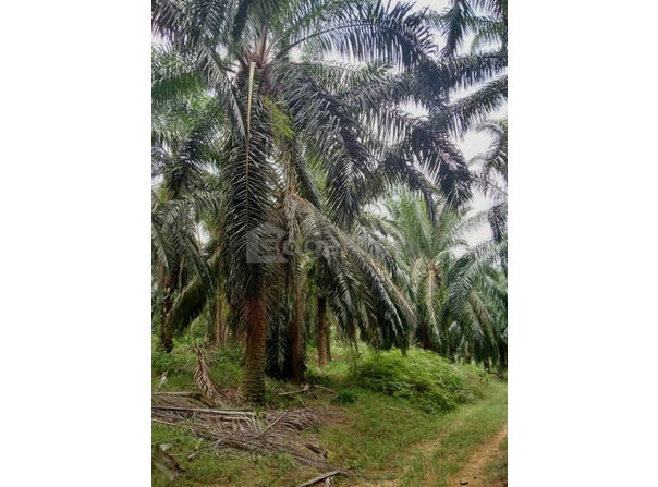 Sungkai, Perak 35600