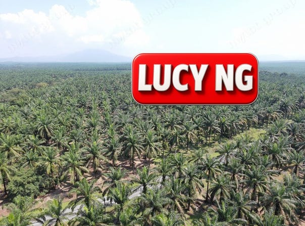 Larut Matang, Perak 34100