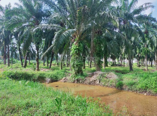 Kuala Selangor, Selangor 45600