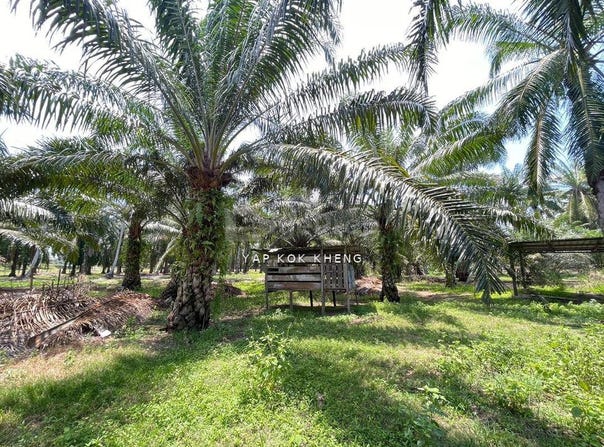 Manjung, Perak 34900