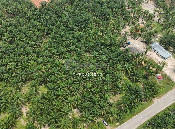 Kuala Kangsar, Perak 31100
