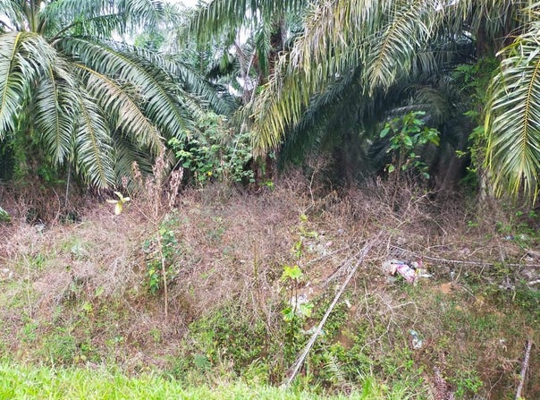 Port Dickson, Negeri Sembilan
