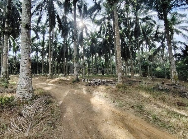Senai, Johor 81400