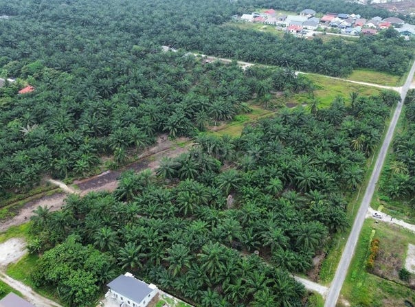Jenjarom, Selangor 42600
