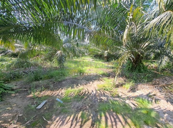 Banting, Selangor 42700