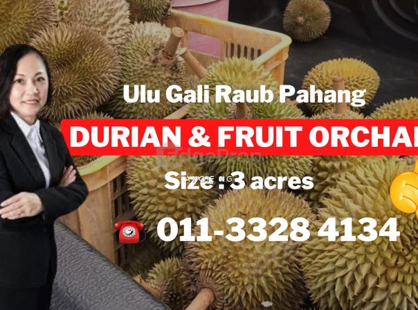 U, Raub, Pahang 27600