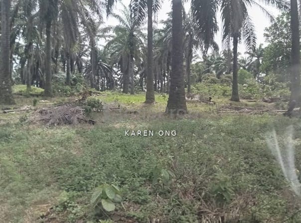 Bandar Puncak Alam, Selangor