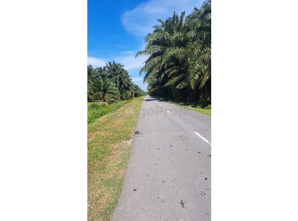Banting, Selangor 42700