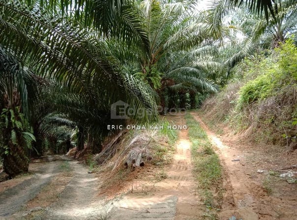 j, Kuala Kangsar, Perak 31100