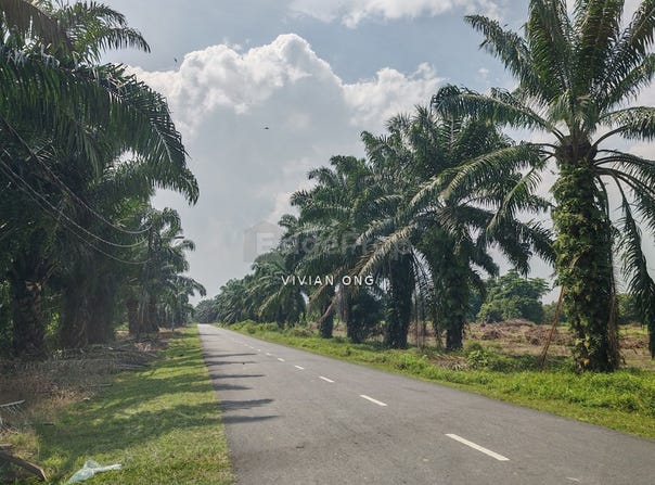 Off Jalan Keretapi lama, Kuala Selangor, Selangor 45800