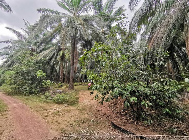 Kuala Muda, Kedah 08300