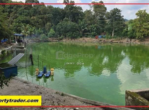 Hulu Langat, Selangor 43100
