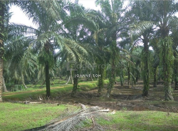 Taiping, Perak 0