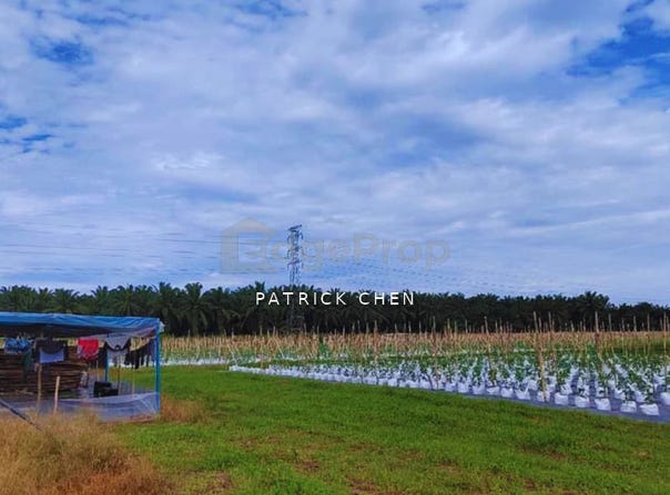 Taiping, Perak