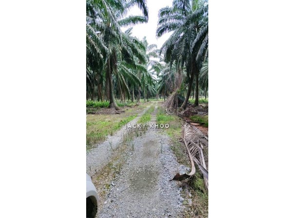 Kuala Langat, Selangor 42700