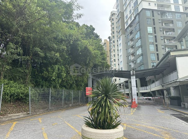 Jalan SS 16/1, 47500, Selangor, Subang Jaya, Selangor 47500