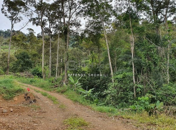 Bentong, Pahang 28700