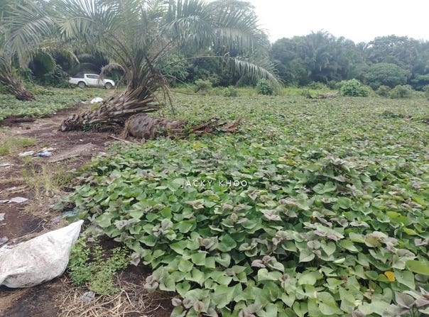 Telok Panglima Garang, Selangor 42500