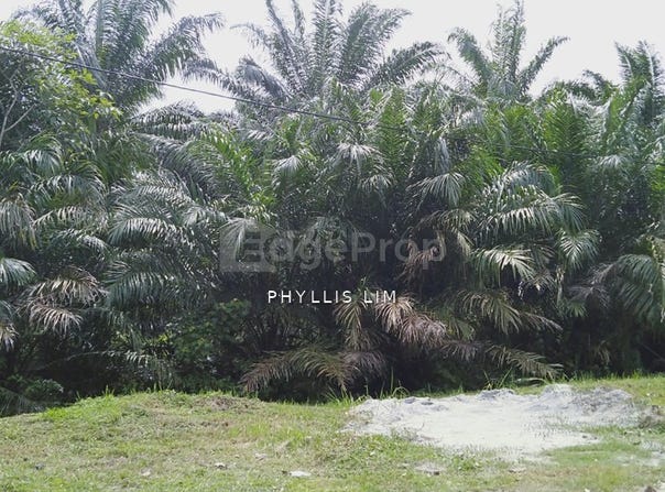 Banting, Selangor 42700