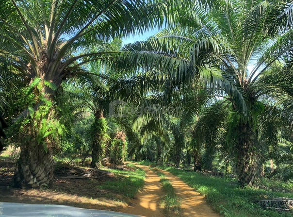 Baling, Kedah 09100