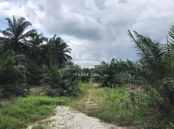 Kuala Langat, Selangor 41200