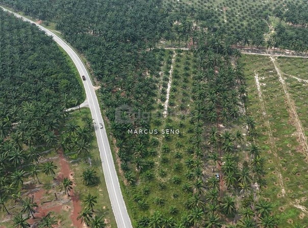 Kuala Kangsar, Perak 31100