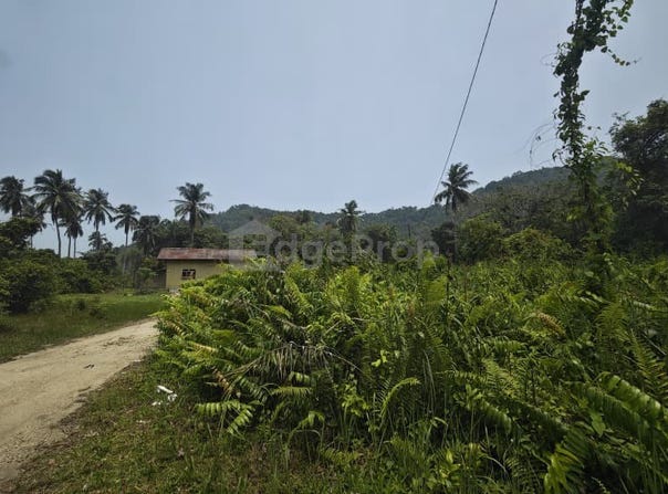 Balok, Pahang 26080