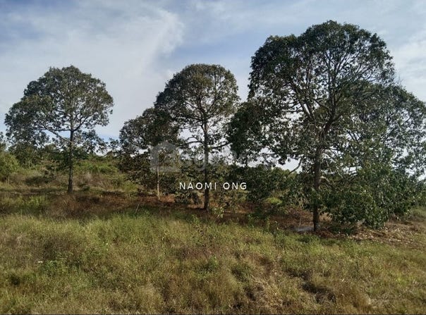 S, Jelebu, Negeri Sembilan