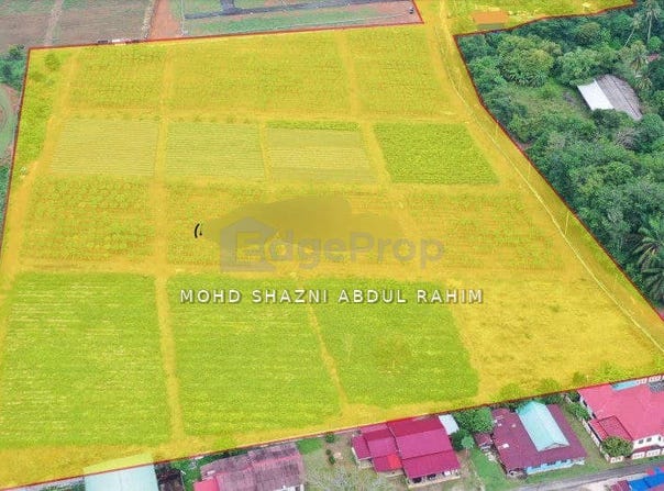 Sungai Petani, Kedah 8000