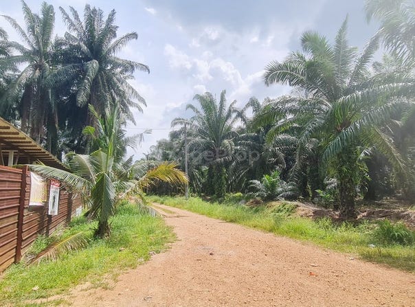 Kuala Selangor, Selangor 45600