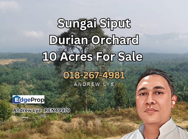 Kuala Kangsar, Perak 31100