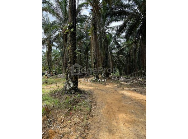 Senai, Johor 81400
