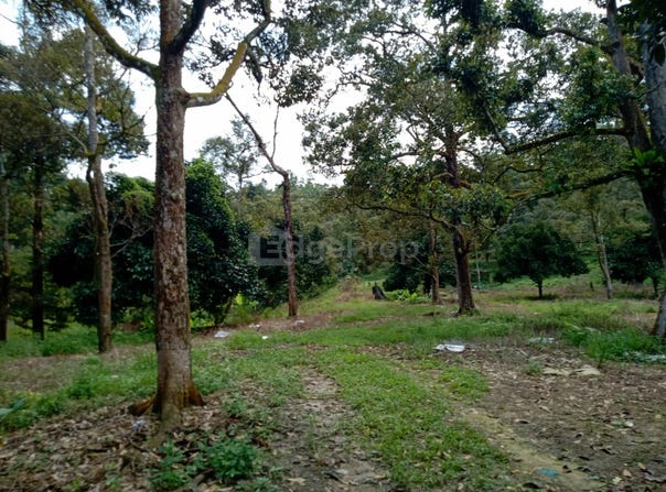 Karak, Pahang 28600