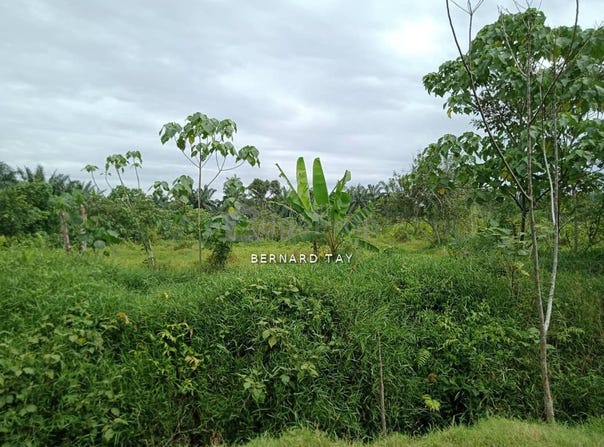 Telok Panglima Garang, Selangor 42500