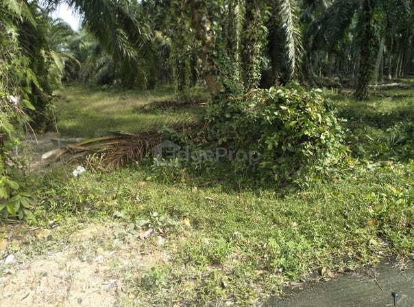 T, Kuala Selangor, Selangor 45600