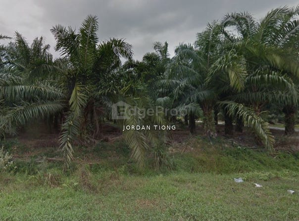 Banting, Selangor 42700