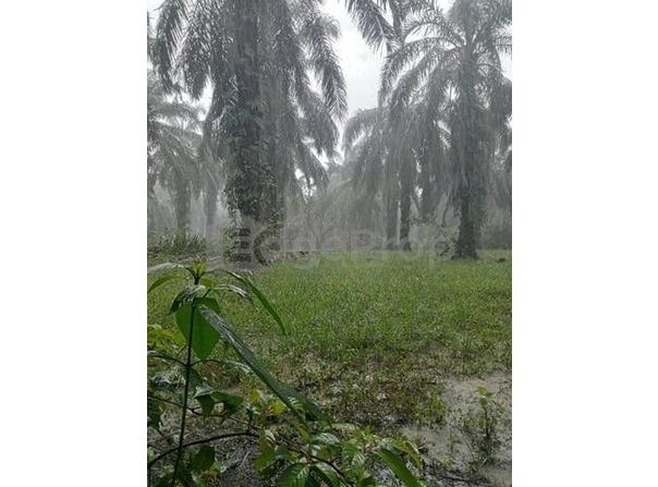Kampong Gajah, Perak 36800