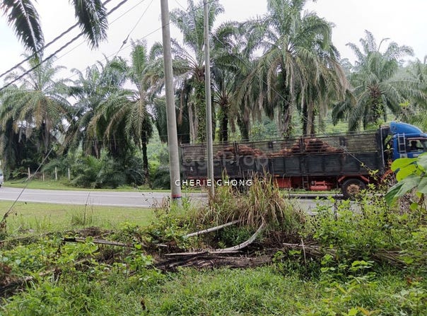 Batu Gajah, Perak 31550