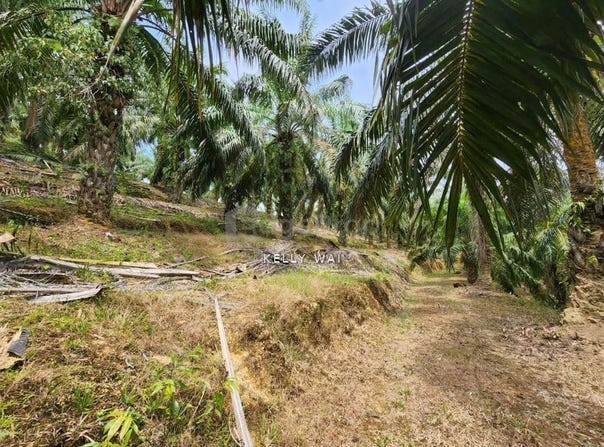 Jerantut, Pahang