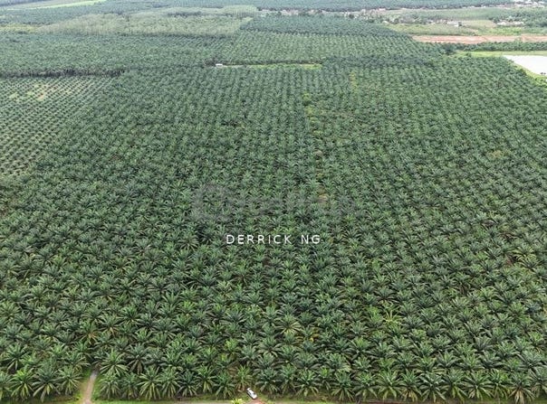 Pendang, Kedah 6700