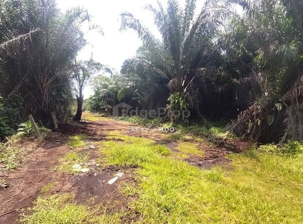 Telok Panglima Garang, Selangor 42500