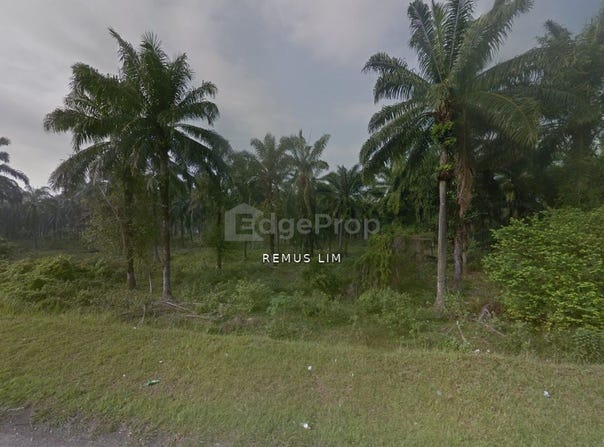 Banting, Selangor 42700