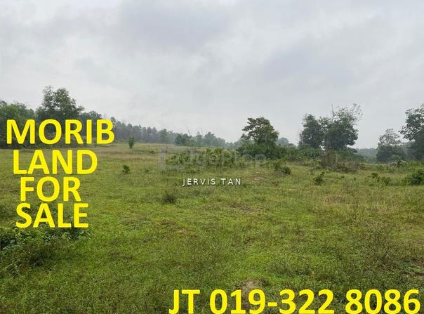 Banting, Selangor 42700