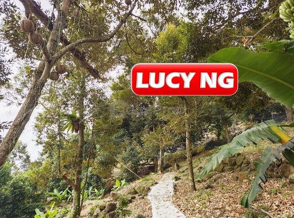 Balik Pulau, Penang 11000