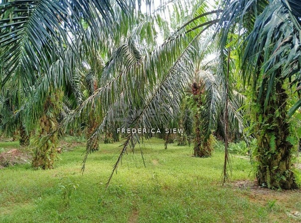 Batu Gajah, Perak