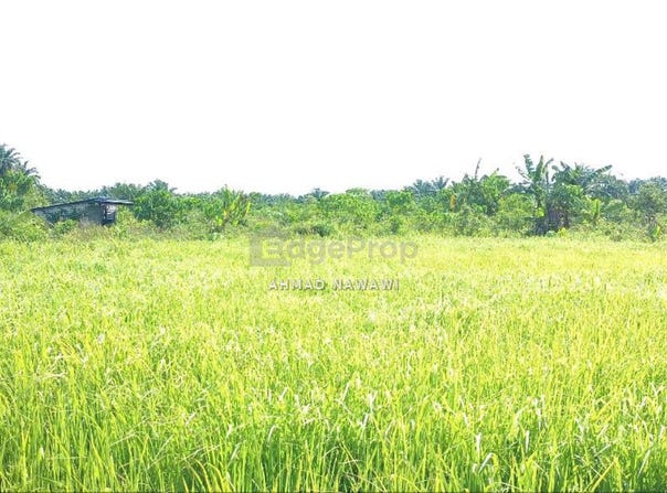 Sabak Bernam, Selangor 45300