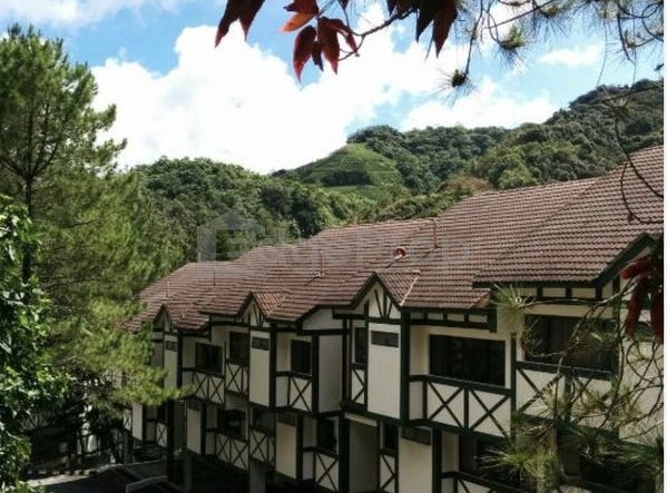 Cameron Highlands, Pahang 39000