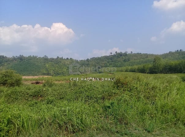 Jitra, Kedah 6000