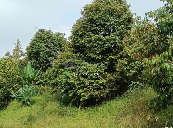 Raub, Pahang