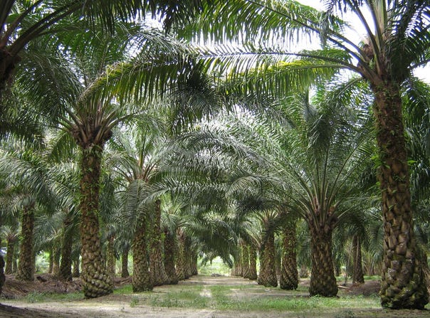 Tasek Gelugor, Penang 13000